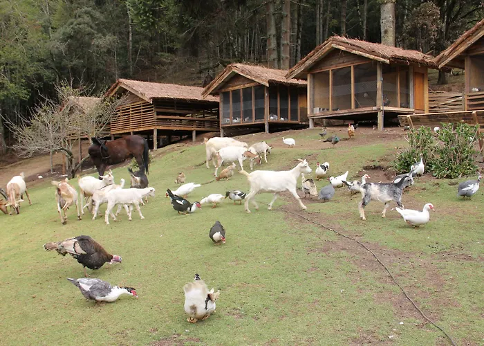 Resort: Hotel Toriba