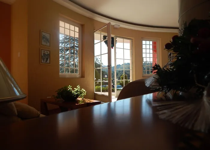 Hotel de praia: Hotel Platanus