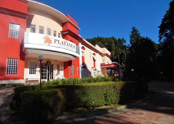 Hotel de praia: Hotel Platanus
